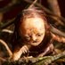 映画『ストップモーション』公式 2025/1/17公開🎥 (@stopmotion0117) Twitter profile photo 映画『ストップモーション』公式 2025/1/17公開🎥 (@stopmotion0117) Twitter profile photo