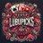 LubuPicks's profile image