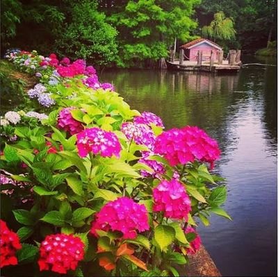 44suskun3444's profile picture. 