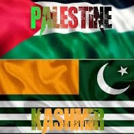 our withering kashmir is at d end of its autumn, spring will come soon InshaAllah. #Freekashmir #FreePalestine back up at @mykashmir14. Blocked in IOJK & India