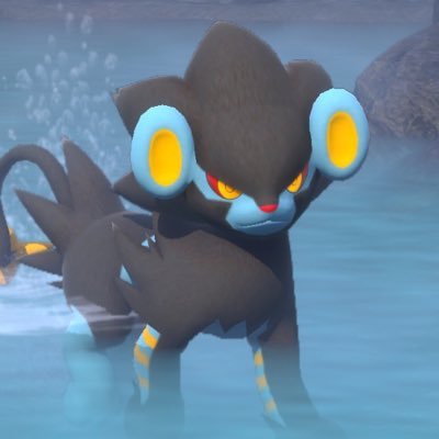 皐さんのプロフィール画像