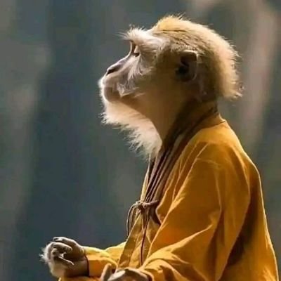 Bongaheish440's profile image