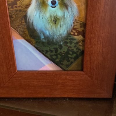 Ochoa74457Ochoa's profile picture. 