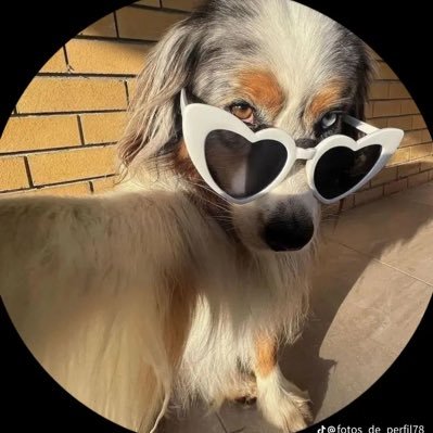 como q usa esse app mds...