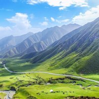 奥特曼（互fo） (@otmn421431) Twitter profile photo