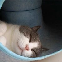 Astro : ยังไงนะไหนเล่าซิ (@astro4551854760) 's Twitter Profile
