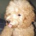 G.M. Carretas (@girlymaec11) Twitter profile photo G.M. Carretas (@girlymaec11) Twitter profile photo