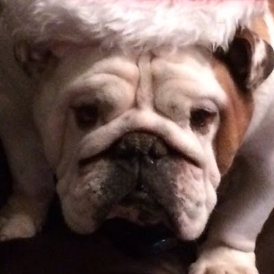 ArronMckeo53613's profile picture. 