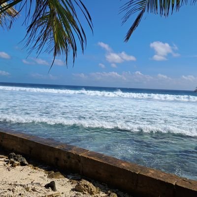 akdhars's profile picture. 