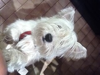 AJOUXM's profile picture. J'aime la vie, j'aime les gens, j'aime l'intelligence et j'apprécie la finesse....