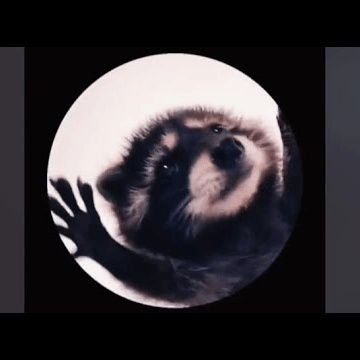 cgghnddcv's profile picture. 