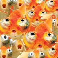 UPFISH CTO (@upfish_cto) 's Twitter Profile