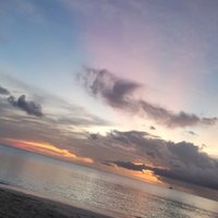 Daniel Howell (@danielhowe33838) 's Twitter Profile