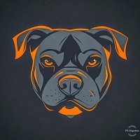 Spitbull (@spitbull1963) 's Twitter Profile