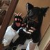 maya (@neko222211) Twitter profile photo maya (@neko222211) Twitter profile photo