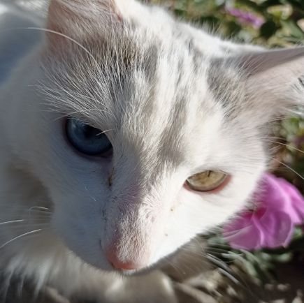 david_1233's profile picture. BD at @VictusGlobal_
| Business Development Specialist | Starter in Crypto |
Verify me: https://t.co/kxxha5QiC5