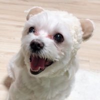 南野 葵⚪︎ (@_minaminoaoi) 's Twitter Profile Photo