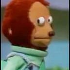 Zakaria9761's profile picture. 