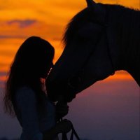 Seda (@sedabol72879348) Twitter profile photo