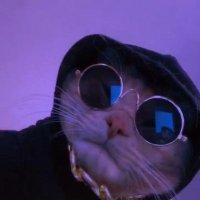 Kelly Daniel (@kelly_daniel_o) 's Twitter Profile Photo Kelly Daniel (@kelly_daniel_o) 's Twitter Profile Photo