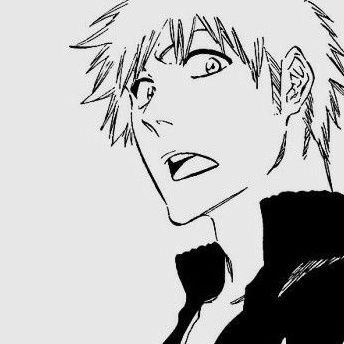 sixnxra's profile picture. 블리치계｜一護右固定｜이치른 주력