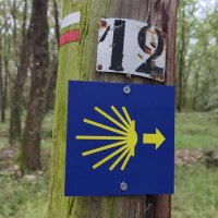 Être_libre - #Encore 3 ans ‼️ (@f_michaeli) 's Twitter Profile Photo Être_libre - #Encore 3 ans ‼️ (@f_michaeli) 's Twitter Profile Photo