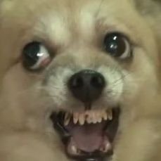 djsekql's profile picture. 행복을찾아뭔가를하고있기는함 / 구독도 합니다 / 리트윗 끄기 추천드려요.