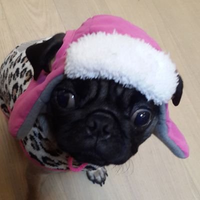 djscheckel's profile picture. 