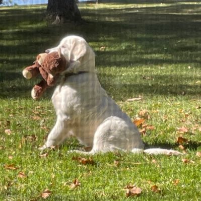 badurfee's profile picture. 