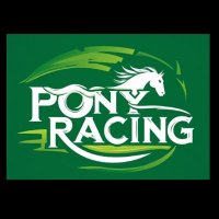 Ponyracing.ie (@ponyracingire) Twitter profile photo