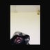 GARRR J'AI PAS LE TEMPS.🗿♍ (@ghostmanyak) Twitter profile photo GARRR J'AI PAS LE TEMPS.🗿♍ (@ghostmanyak) Twitter profile photo