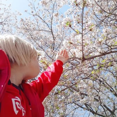 K_WONnn__8m10's profile picture. ※まずSNSが不慣れ
コスプレ初心者🔰/義務教育済/20未満/低身長/頻度低め/タメ呼び大歓迎/ジャンプ子オタク