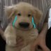 - น้องบ้อกแบ้กของนูน่า - (@your_cloudy) Twitter profile photo - น้องบ้อกแบ้กของนูน่า - (@your_cloudy) Twitter profile photo