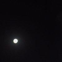 ٰ (@1_ma_ma_1_) Twitter profile photo