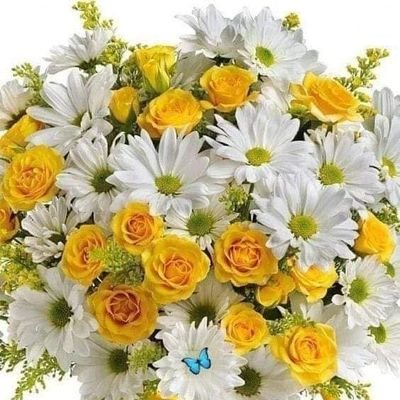 Feliz abuelita casada chocha de 8 bellos nietos. . tranquila muy de familia y totalmente de derecha ♥️♥️♥️rechazo completamente nueva Constitución soy chilena