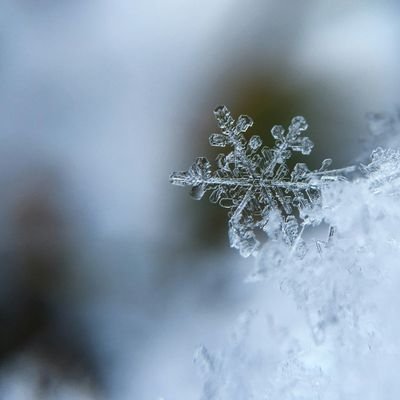 Hi, I'm an Iranian artist trying to learn writing poems.