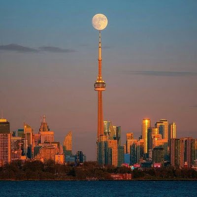 AlwaysH84727431's profile picture. 