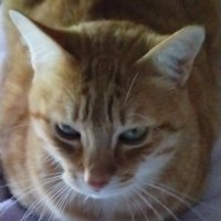 RACEIVETTE (@raceivette) 's Twitter Profile