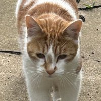magicK (@ukmagick) 's Twitter Profile