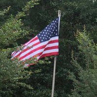 Phylis Whell (@phywhell) 's Twitter Profile Photo Phylis Whell (@phywhell) 's Twitter Profile Photo