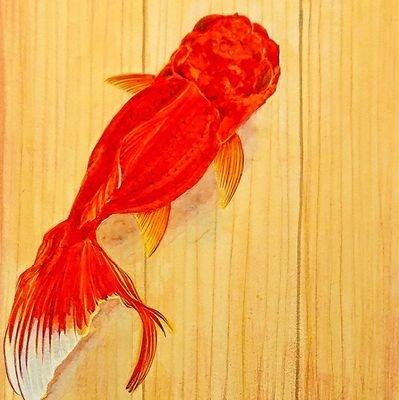花金魚@花栄 （金魚の筋トレ）さんのプロフィール画像