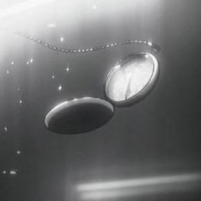 H9f0oeJLqlKrfl9's profile picture. 