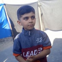 Muaz Mahmoud 🍉🇵🇸 (@mpesan81623) 's Twitter Profile