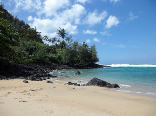 kerricarnes's profile picture. 