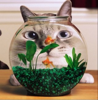 tiktokyo1's profile picture. 杭州城西 🐮找🧑‍🌾  喜熊 ❌1069