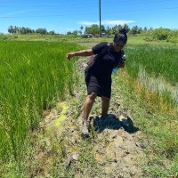 Nazima Raghubir (@nazrag) 's Twitter Profile