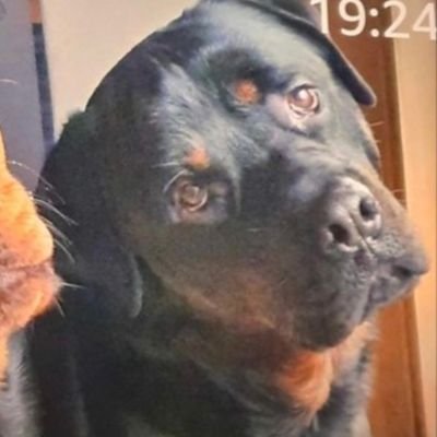 NeilYou66264992's profile picture. not the one your thinking of