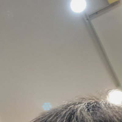 zhngzxing178963's profile picture. 新竹