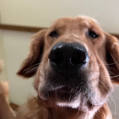 Kboom63's profile picture. 