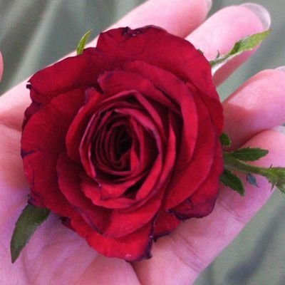 لكي لا تخضع للعدّو، لا بدّ أن تكون قادراً على ردّه..
أثر الفراشه 🦋